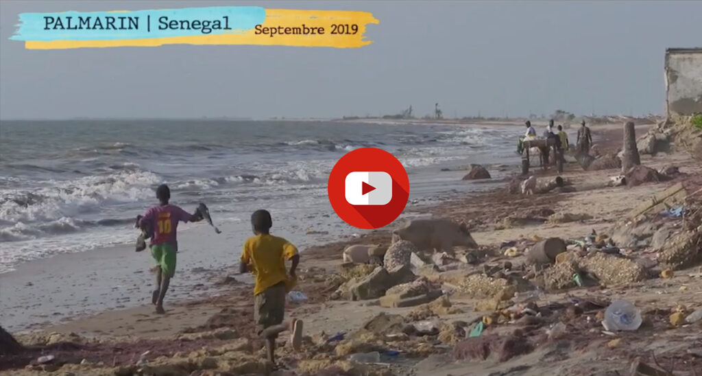 Bicicletas para educacion isb sport