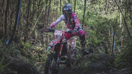Francesc Moret Extreme XL Lagares