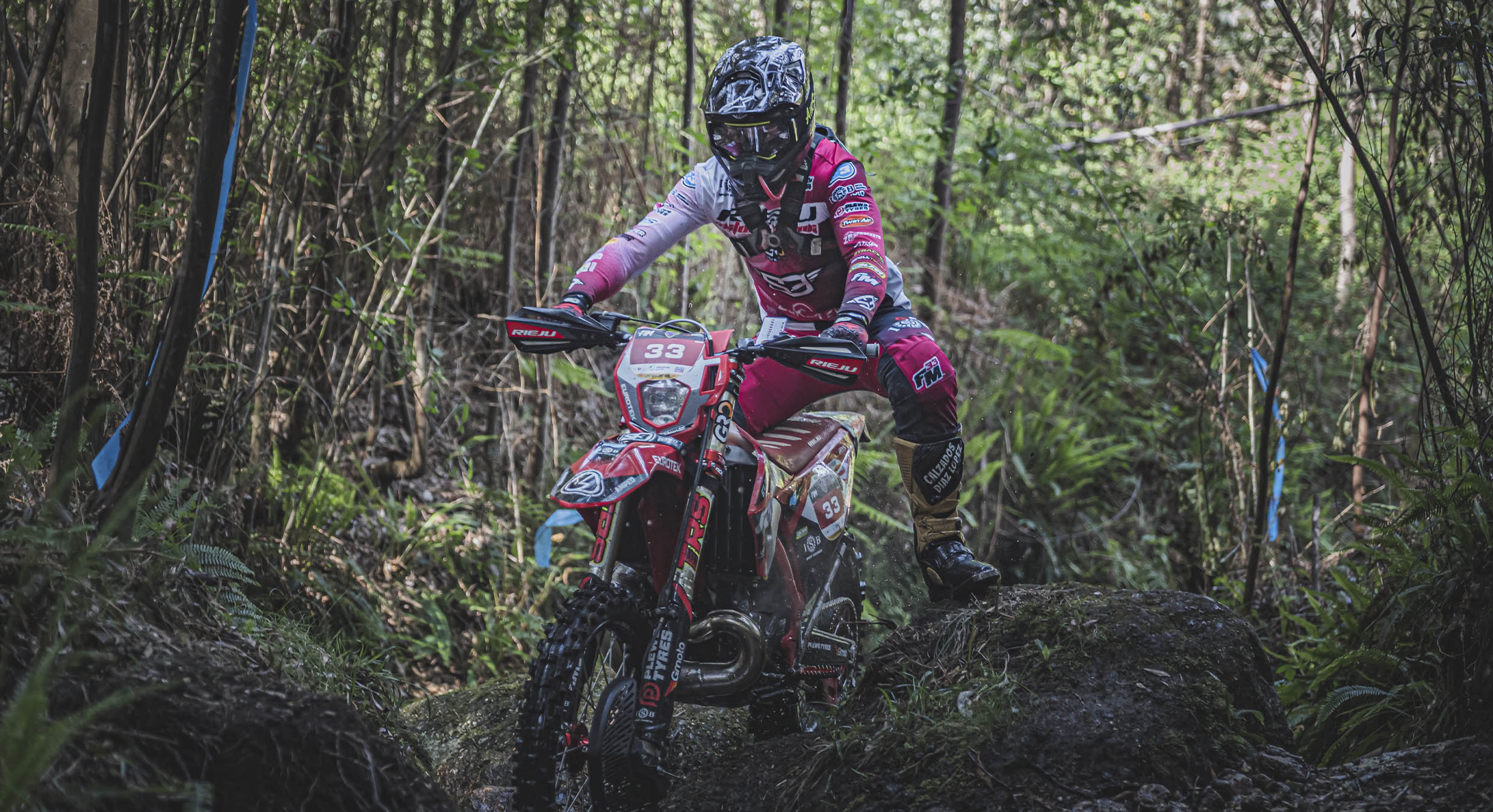 Francesc Moret Extreme XL Lagares